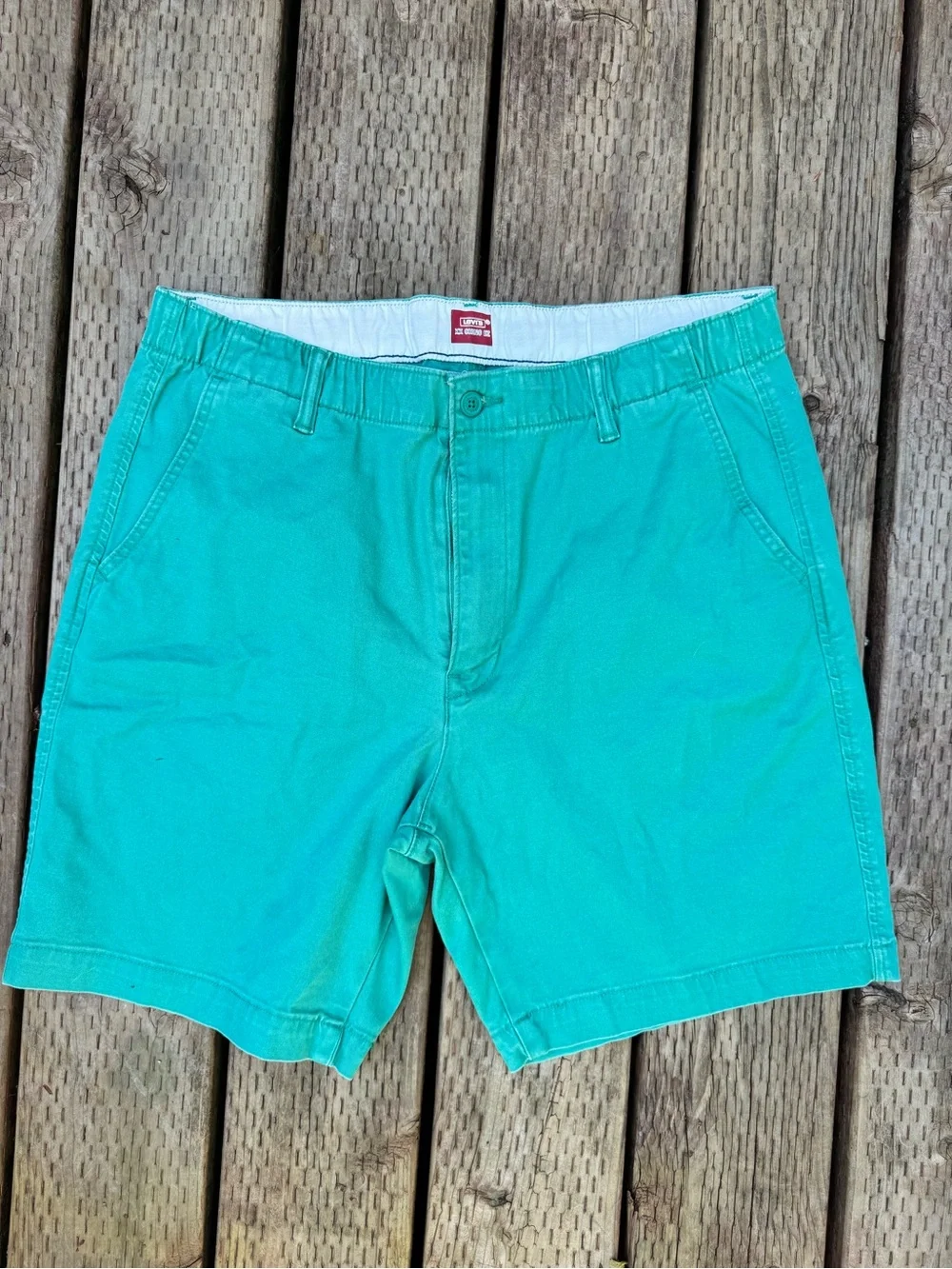 Levi's Turquoise Flat Front Men’s Shorts